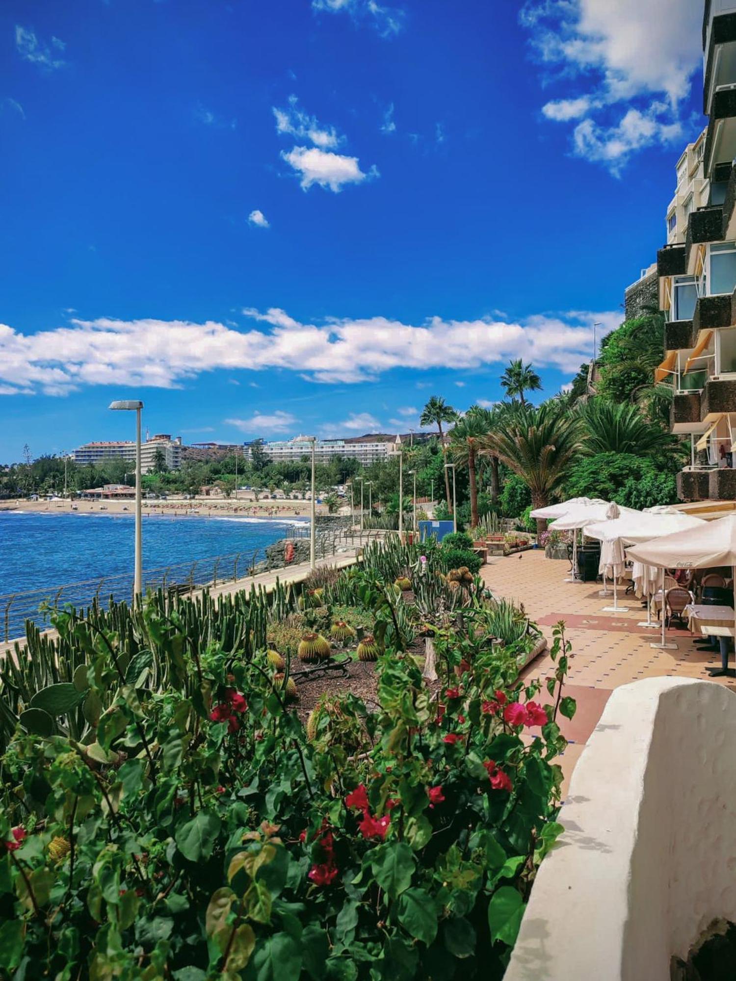 Ocean Studio Maspalomas San Agustín Exteriör bild